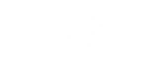 Alternate Text